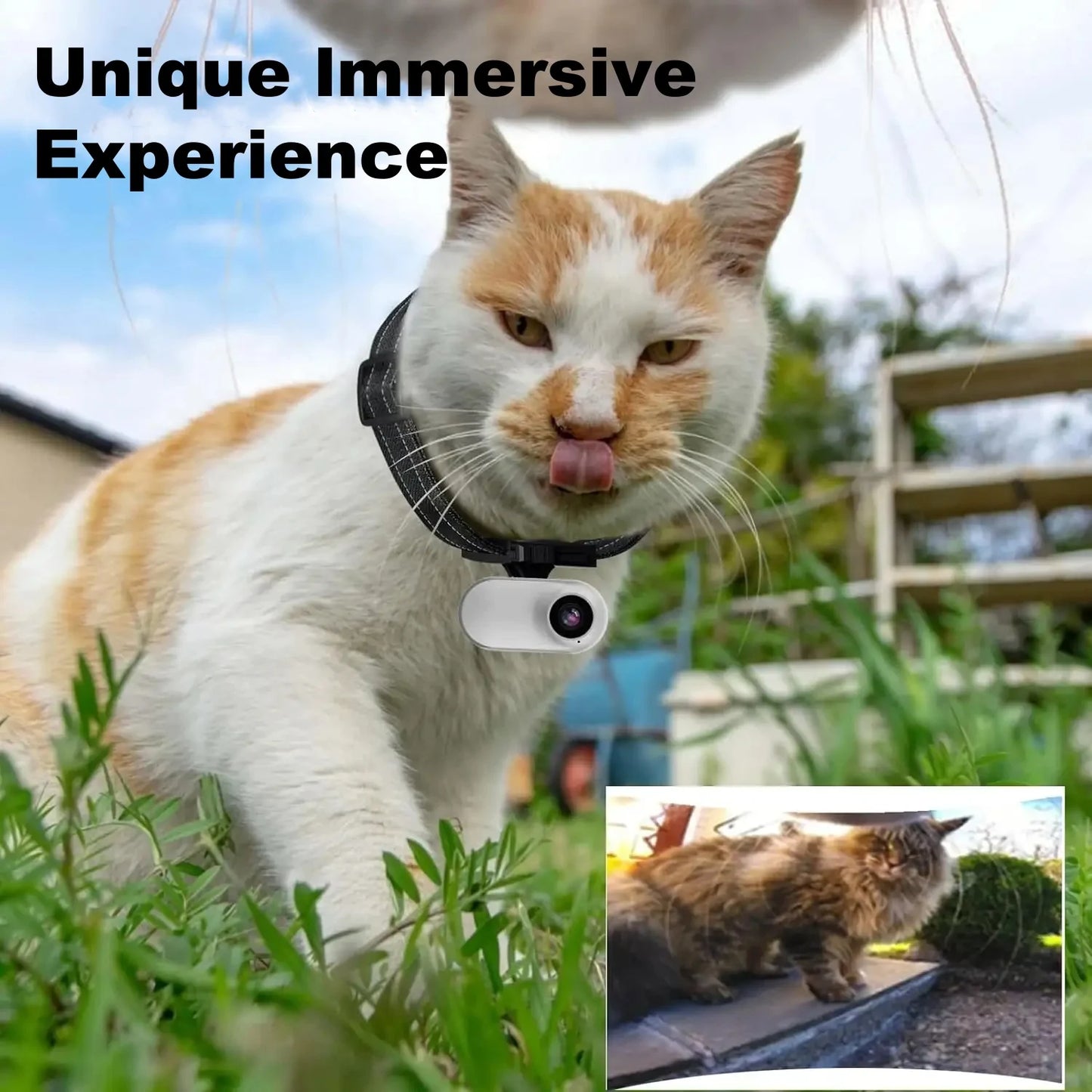 Wireless Pet Collar Camera, Cameras & Monitors 170 ° Wide Angle Lens Mini No-WiFi Needed Action Sport Camera With Video Records