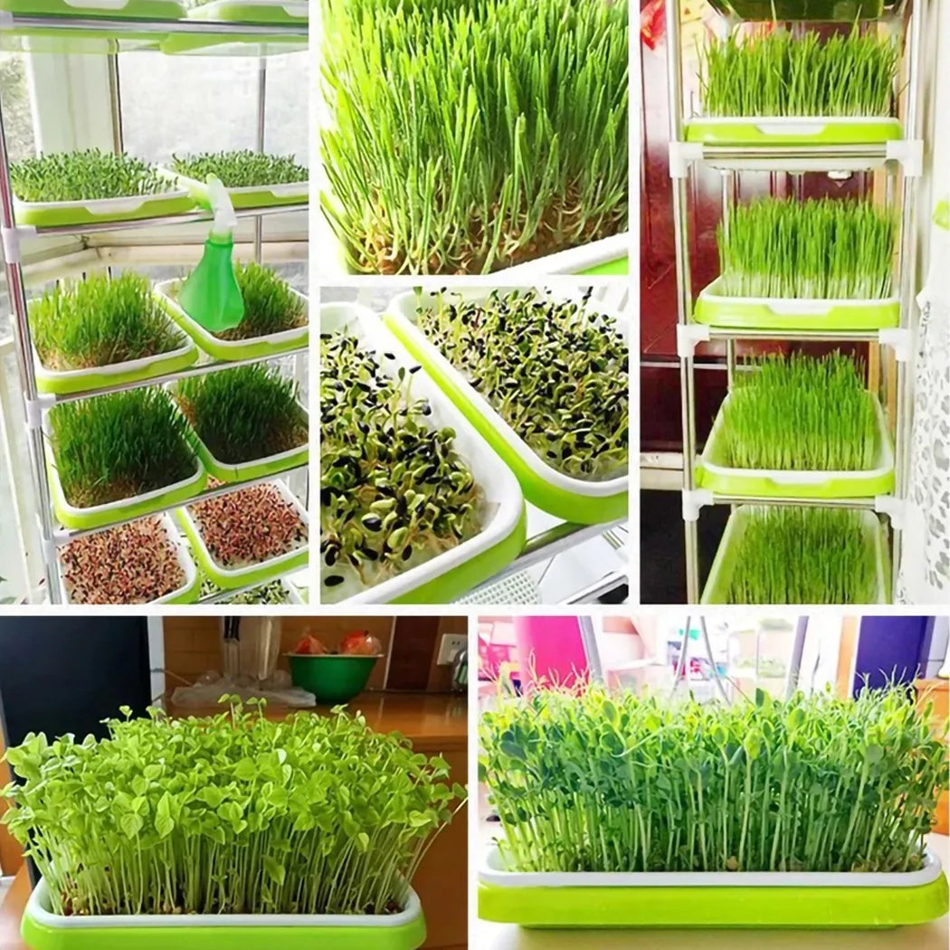 Hydroponic Microgreens Sprouter Tray