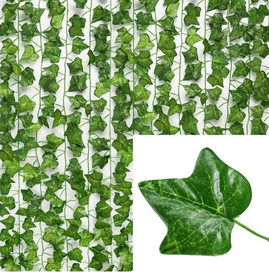 49785188057419|49785188221259|49785188450635|49785188680011|49785188942155