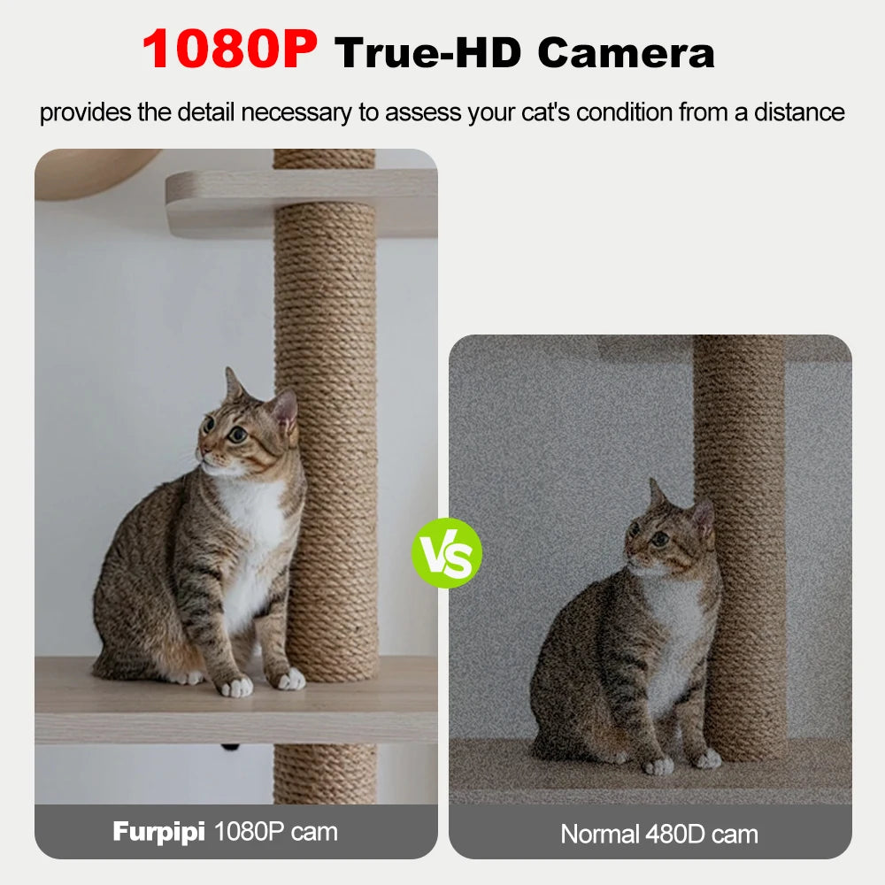8L Automatic Cat Feeder With 1080p Camera Video WiFi Cat Food Dispenser Pet Smart Voice Recorder Remote Control Pet Auto Feeder