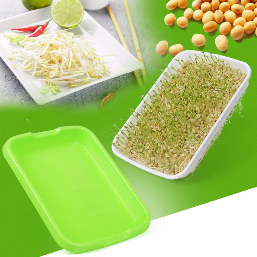 Hydroponic Microgreens Sprouter Tray