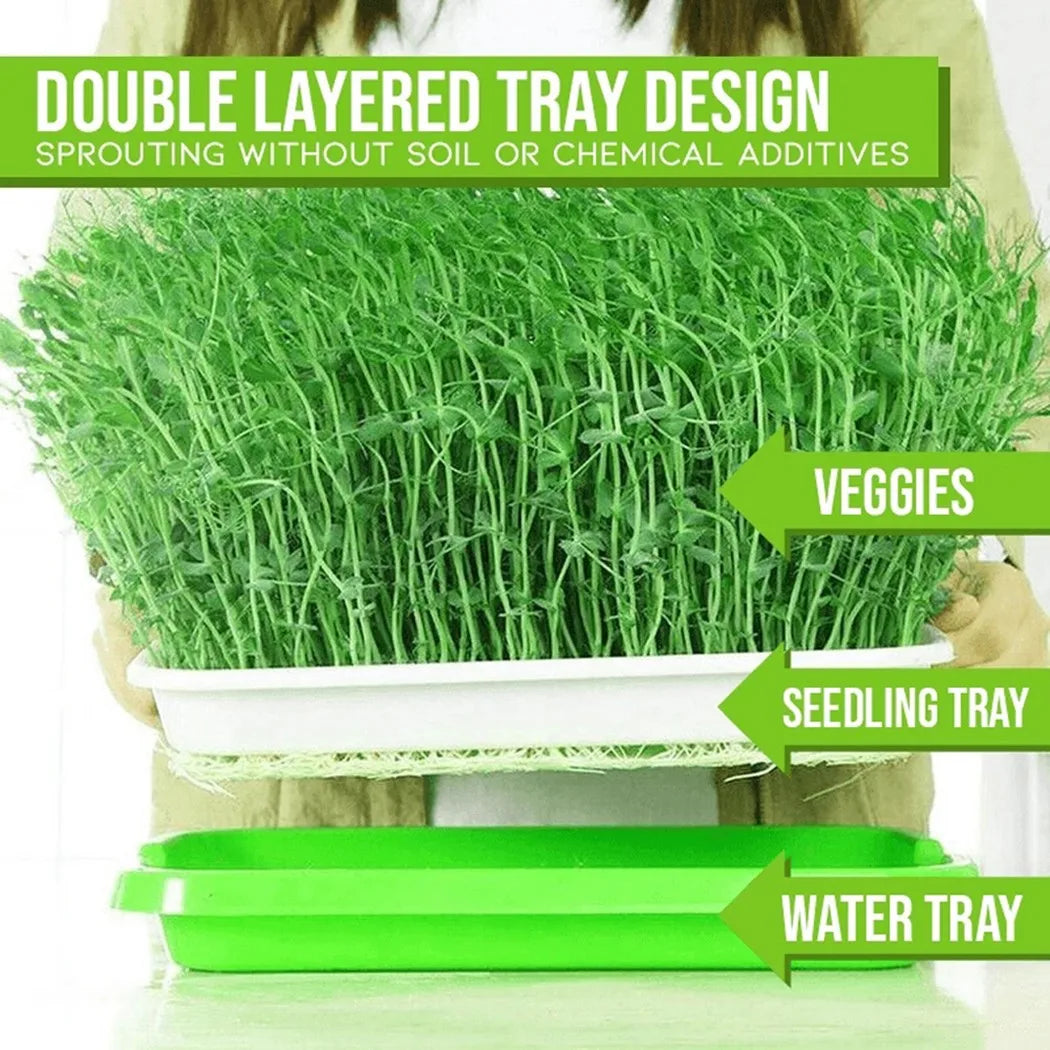 Hydroponic Microgreens Sprouter Tray