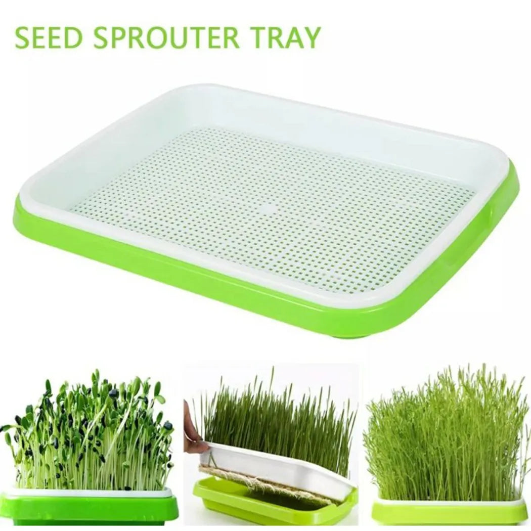 Hydroponic Microgreens Sprouter Tray