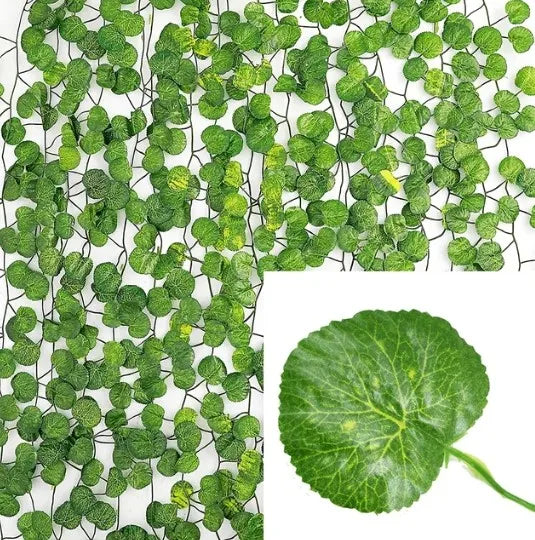 49785187959115|49785188385099|49785188614475|49785188876619|49785189105995