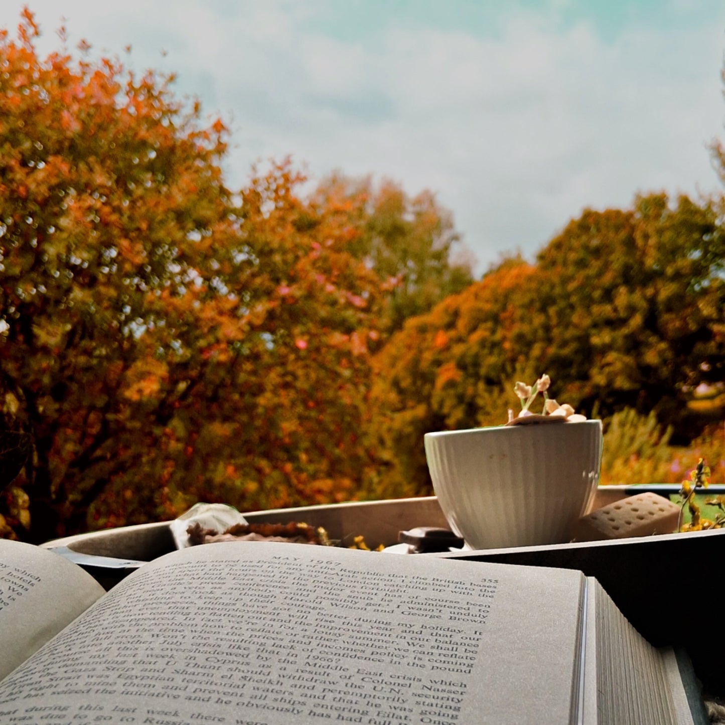 Unscented Autumnal Soy Cup Candle