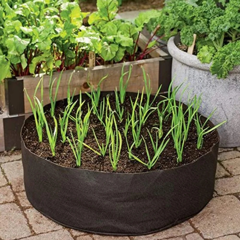 AIVY Growing Bags for Household Plants -  Gardening Pots for Growing Flowers and Vegetables