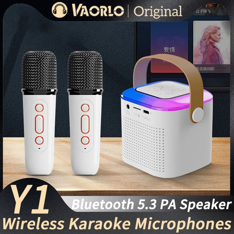 Party in a Box: Karaoke HIFI System