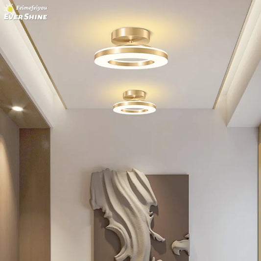 Modern LED Ceiling Lamp