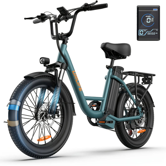 E20 Adult E-bike 250W Motor Electric Bicycle 48V 13Ah battery commute Electric Bike,20-inch Fat Tire city ebike