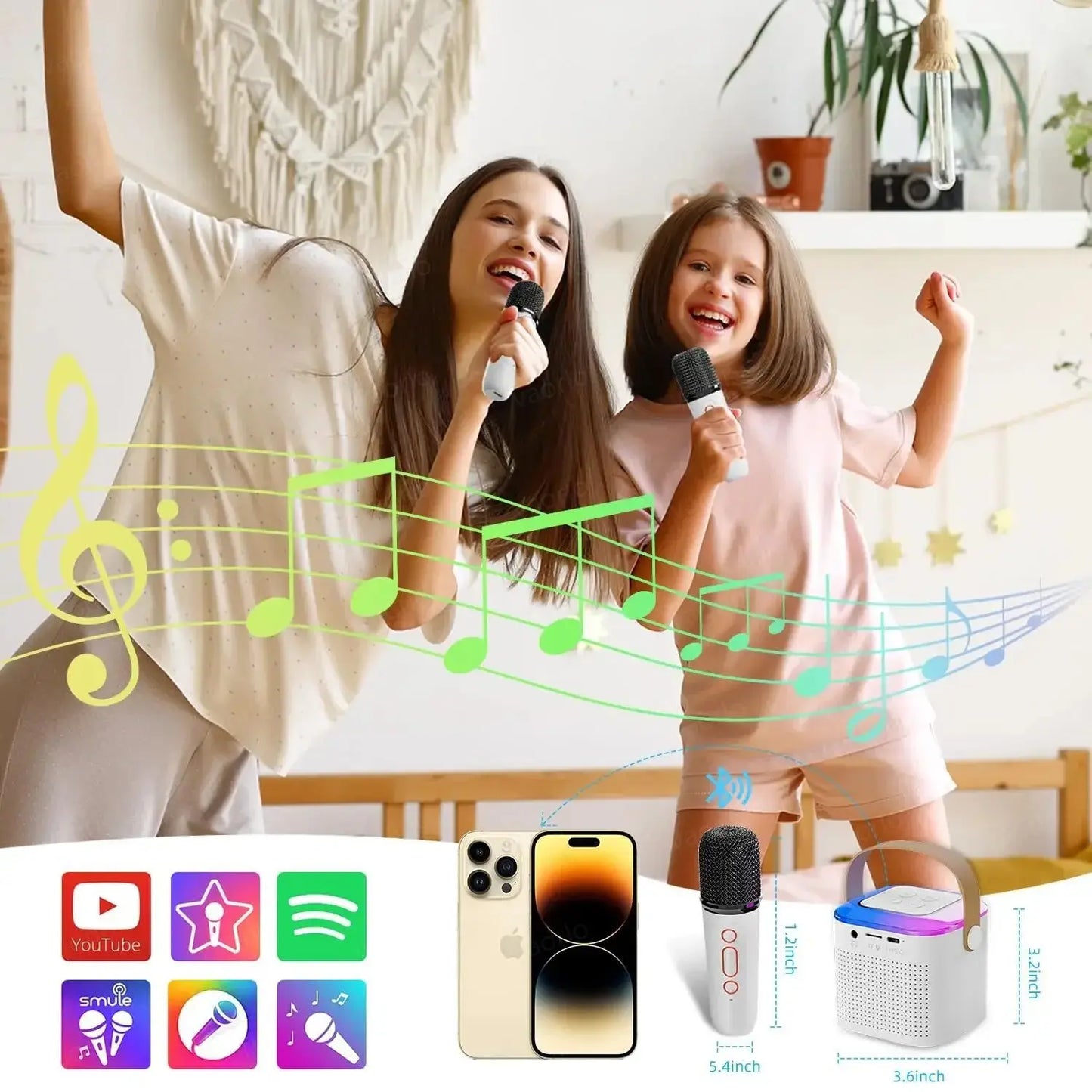 Party in a Box: Karaoke HIFI System