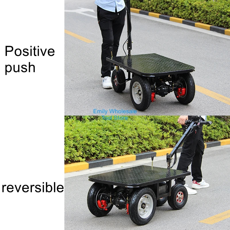 Hill-Climbing Electric Tricycle Cart - Backwards Donkey