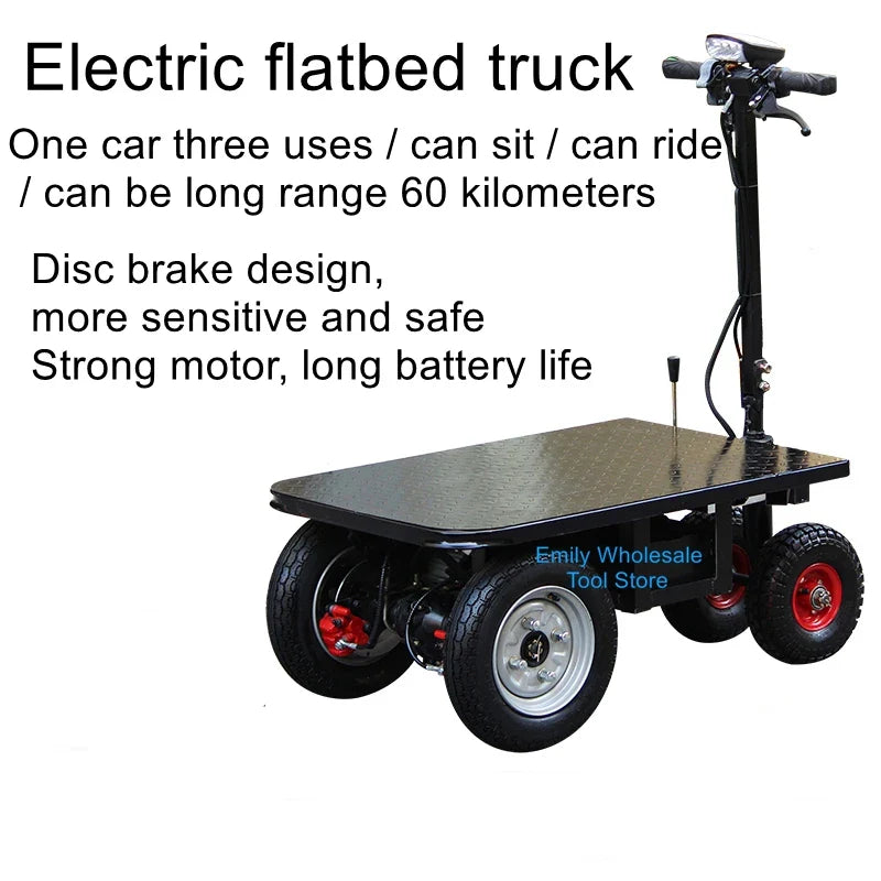 Hill-Climbing Electric Tricycle Cart - Backwards Donkey