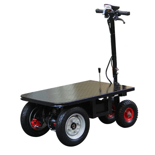 Hill-Climbing Electric Tricycle Cart - Backwards Donkey