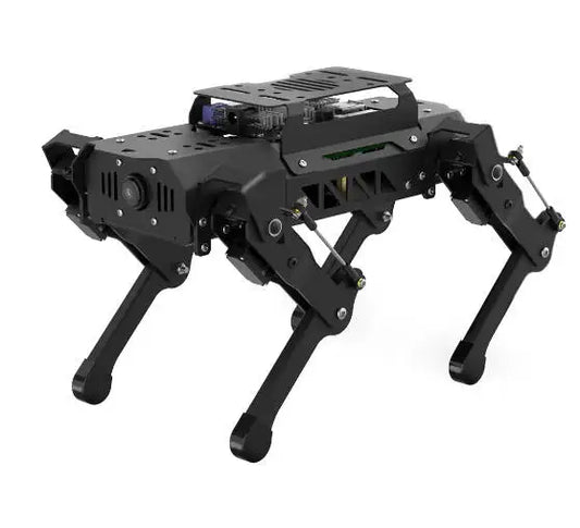 Puppy Pi Hi wonder Quadruped Robot with AI Vision