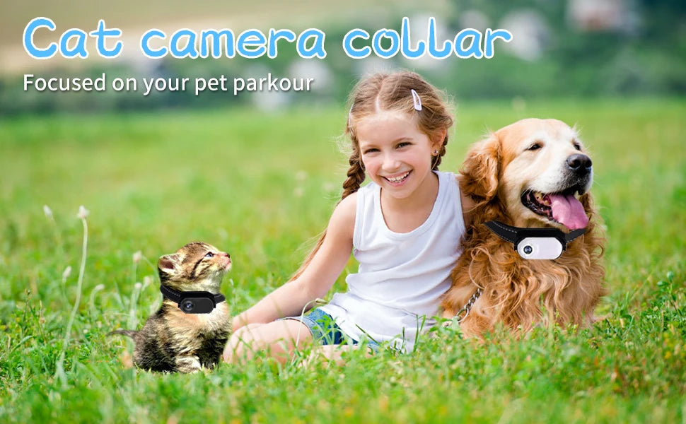 Wireless Pet Collar Camera, Cameras & Monitors 170 ° Wide Angle Lens Mini No-WiFi Needed Action Sport Camera With Video Records