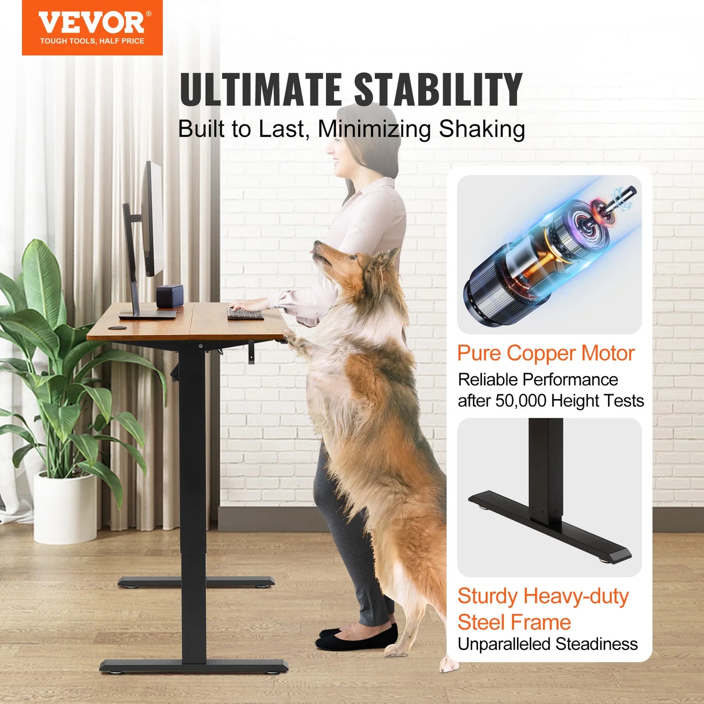 VEVOR Adjustable Electric Standing Desk