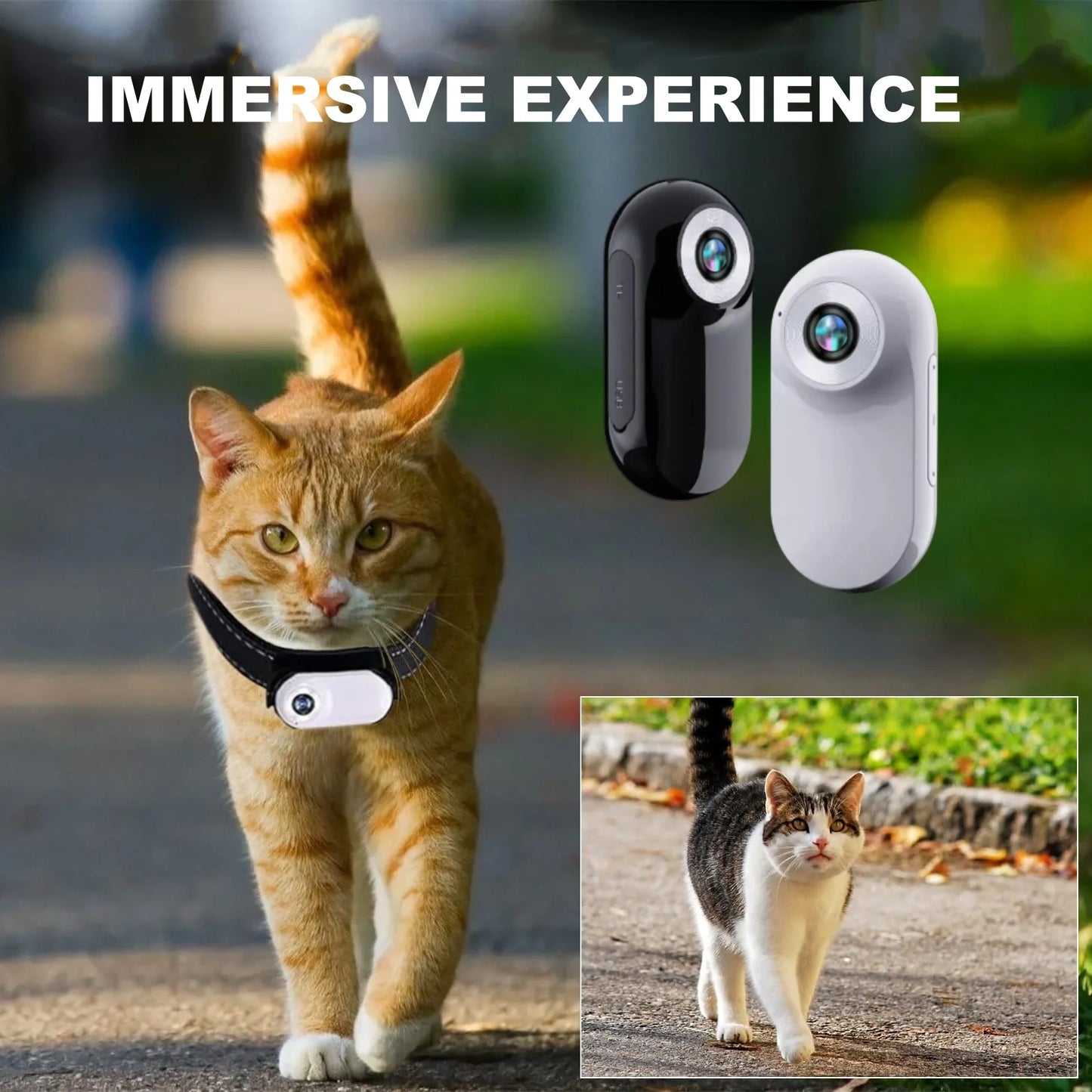 Wireless Pet Collar Camera, Cameras & Monitors 170 ° Wide Angle Lens Mini No-WiFi Needed Action Sport Camera With Video Records