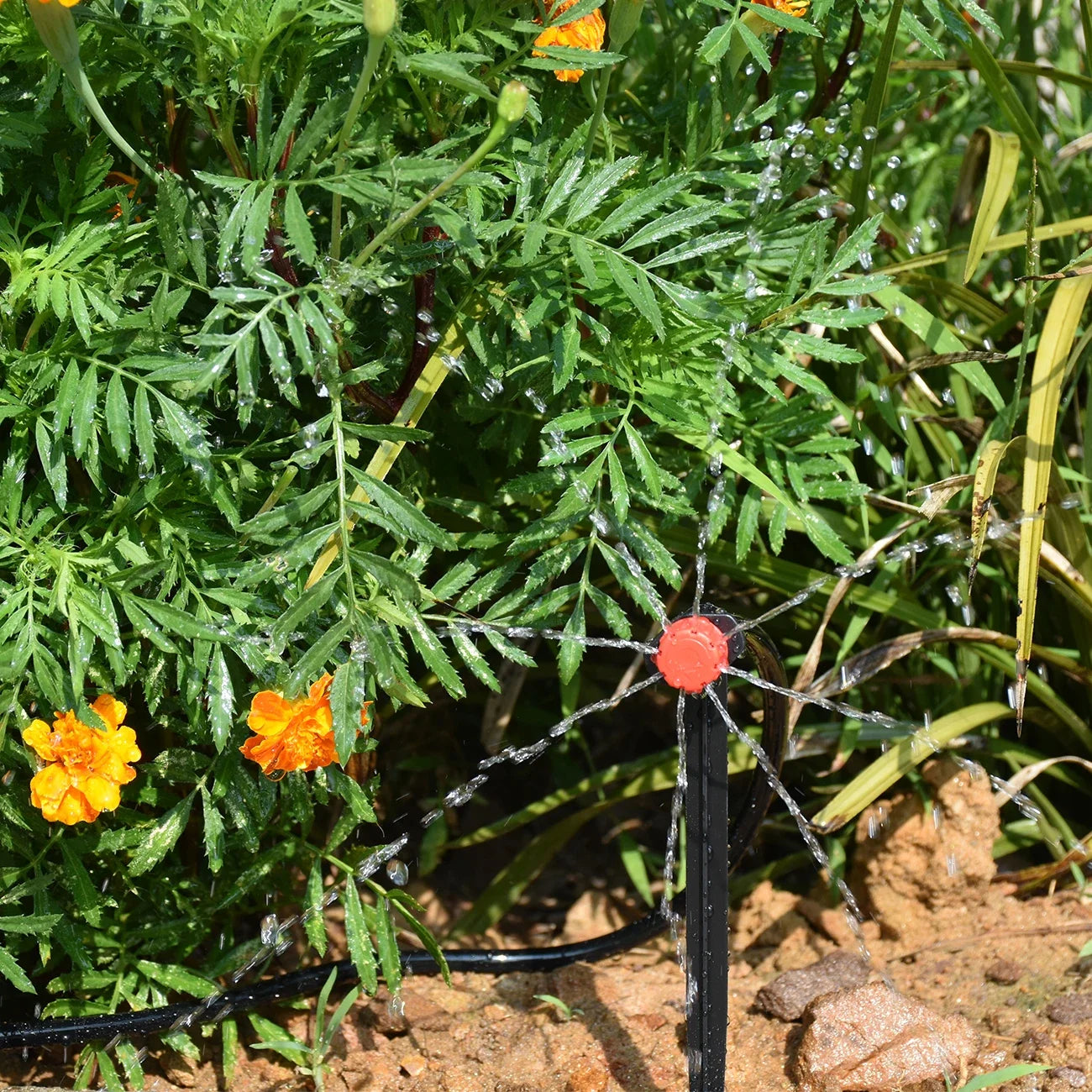 KESLA Garden Automatic Drip Irrigation System