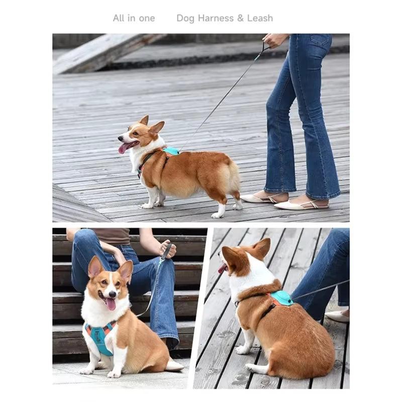 Walk Smarter, Not Harder – 2‑in‑1 No‑Pull Dog Harness with Built‑In Retractable Leash