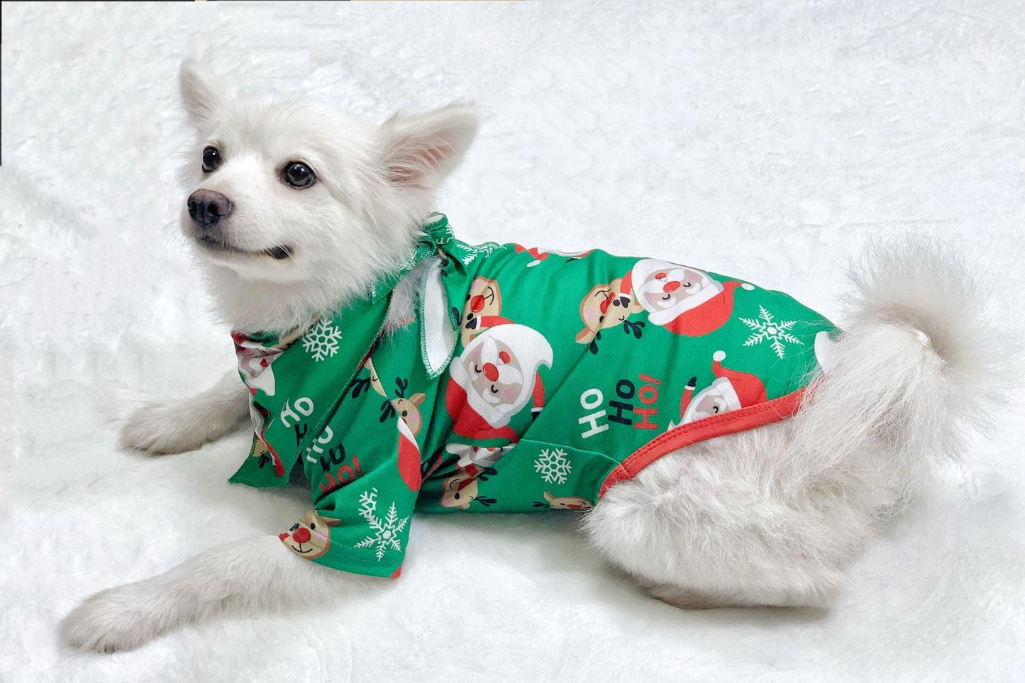 Santa‑Themed Matching Family Pajamas – Green Holiday Sets for Adults, Kids, Babies & Pets